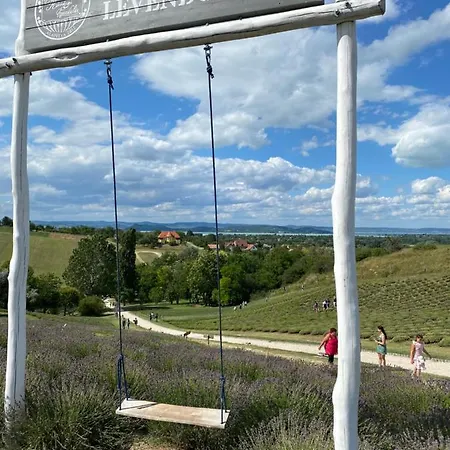 Málna Juventus * Balatonföldvár