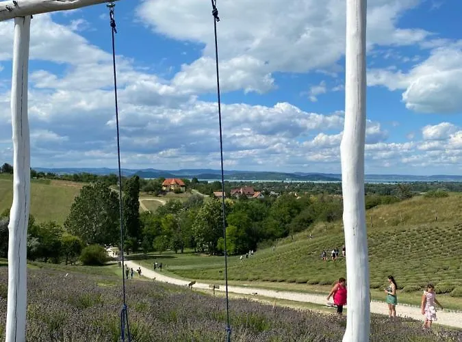 Málna Juventus * Balatonföldvár